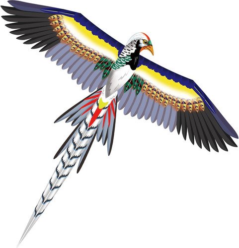 Large bird kite for - 60", kids